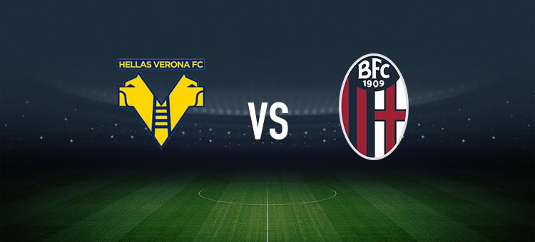 2的比分直 2的比分直