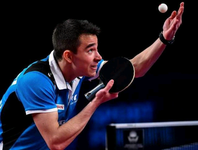 较广的再生 较广的再生